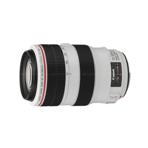 Canon EF 70-300mm f4-5.6 L IS USM Lenses